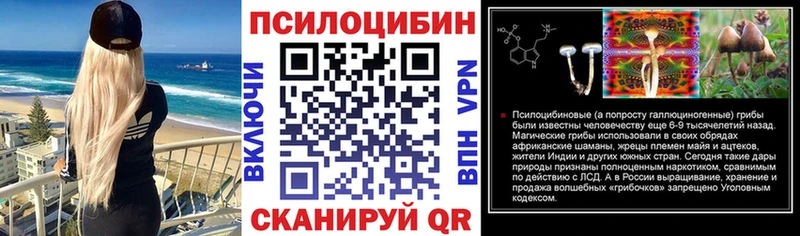 закладка  Соль-Илецк  Галлюциногенные грибы Psilocybine cubensis 